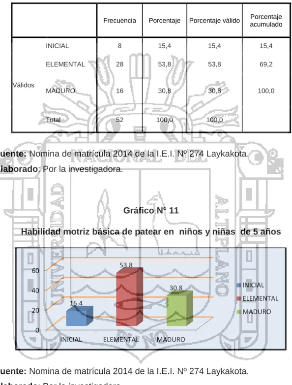 Gráfico N° 11 