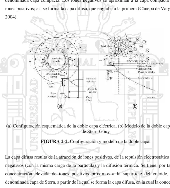 FIGURA 2-2. Configuración y modelo de la doble capa.