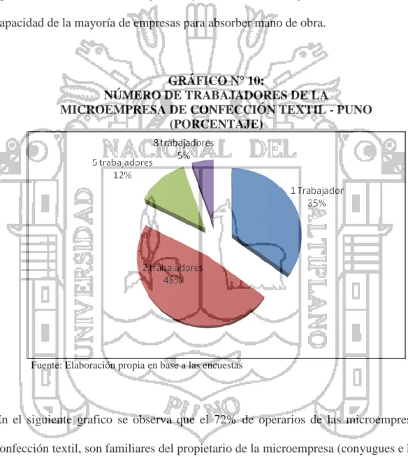 GRÁFICO N° 10: 