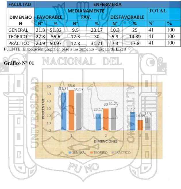 Gráfico N° 01 