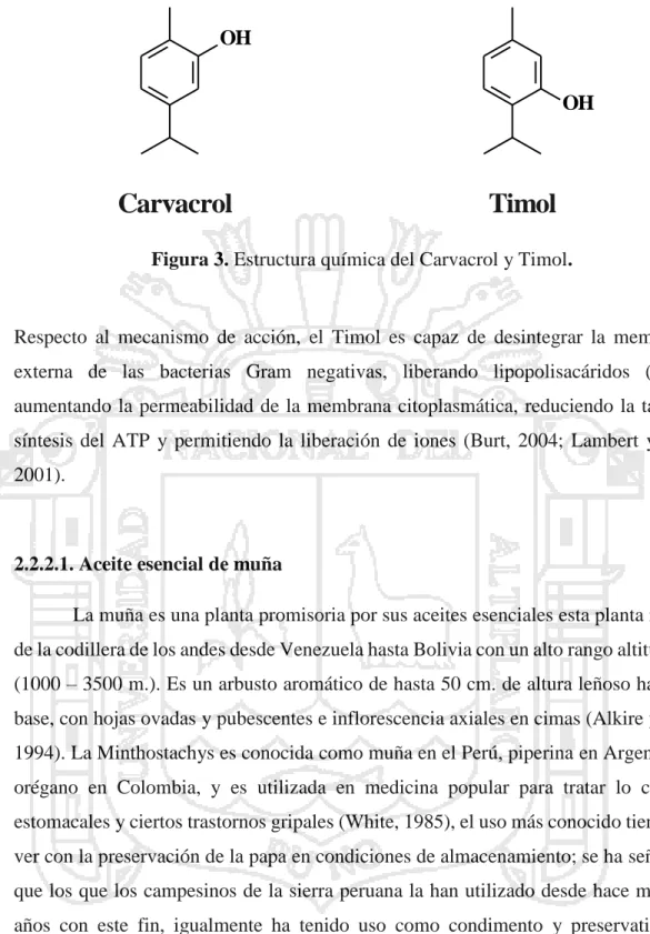 Figura 3. Estructura química del Carvacrol y Timol. 