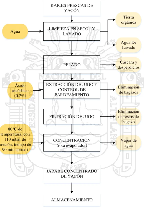 Figura 4. Diagrama de flujo para la obtención de jarabe concentrado de yacón. 