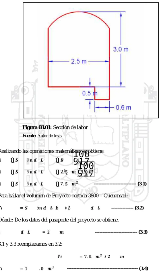 Figura 03.01: Sección de labor