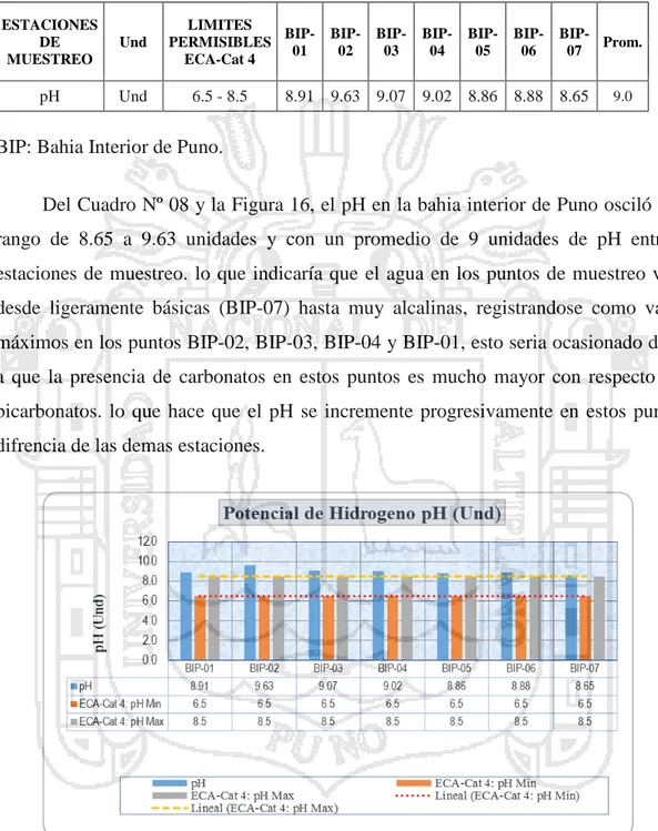 Cuadro Nº 8: Valores de potencial de hidrogeno (pH) en las aguas de la bahía interior de Puno,  entre las estaciones de muestreo 