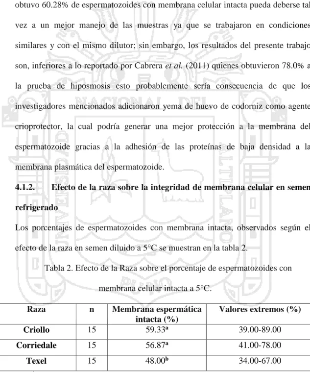 Tabla 2. Efecto de la Raza sobre el porcentaje de espermatozoides con  membrana celular intacta a 5°C