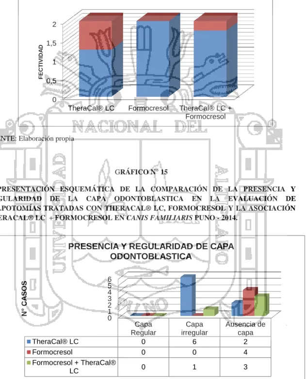 GRÁFICO N° 15 