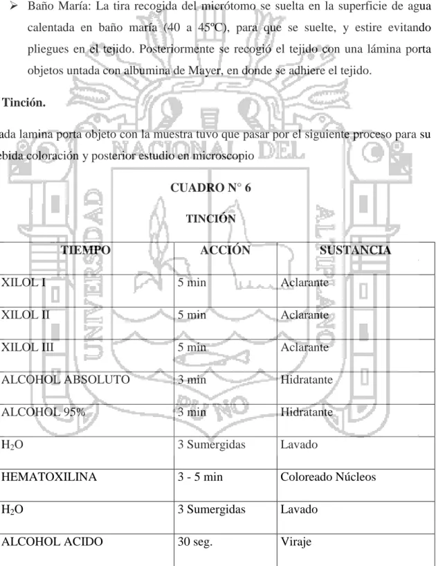 CUADRO N° 6  TINCIÓN 