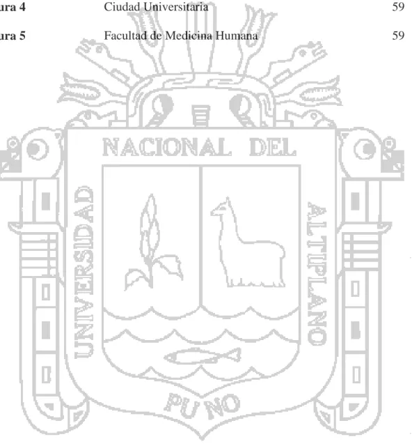 Figura 1  Histología Pulpar  20 