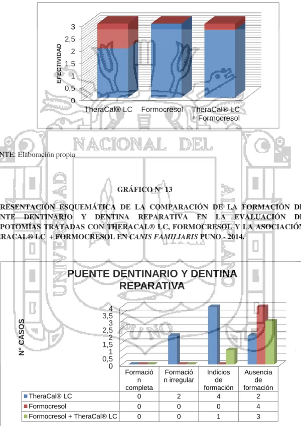 GRÁFICO N° 13 