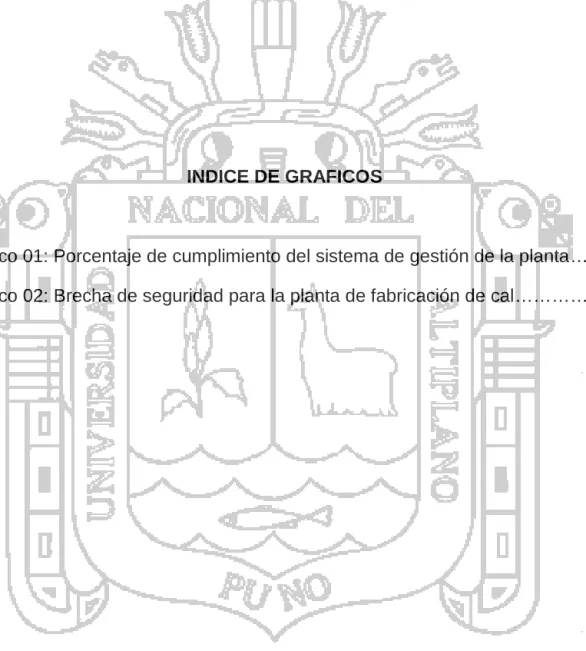 Tabla 1: Factores de riesgo……………………………………….……………...…17 Tabla 2: Criterios para la cuantificación de evaluación diagnóstico…………....49 Tabla 3: Interpretación del grado de implementación del sistema de gestión...50 Tabla 4: Brecha de seguridad para la planta