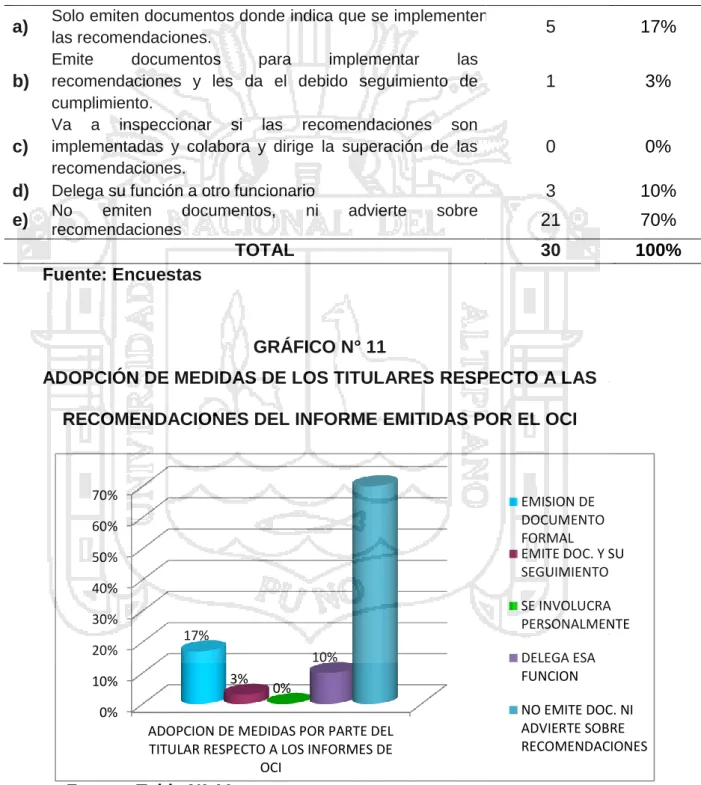GRÁFICO N° 11 