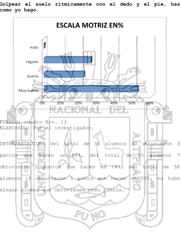 GRÁFICO NRO. 13 