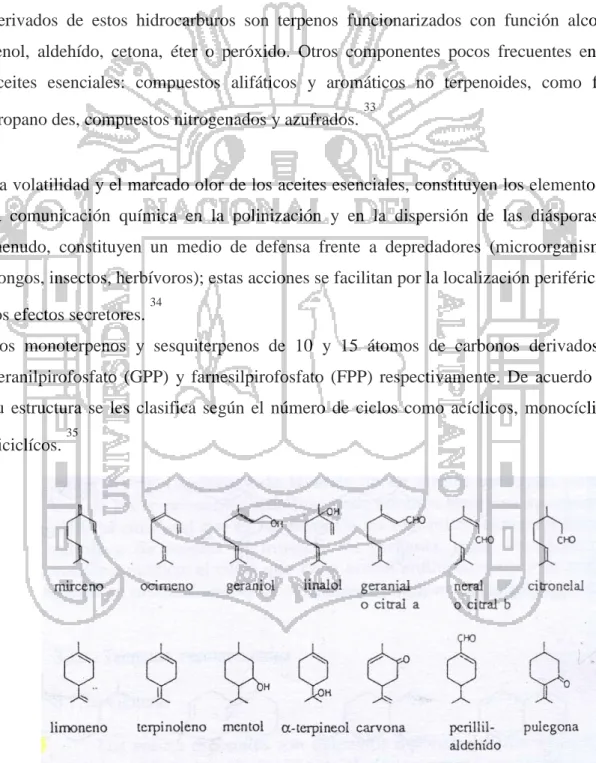 fig. N° 1. Monoterpenos 