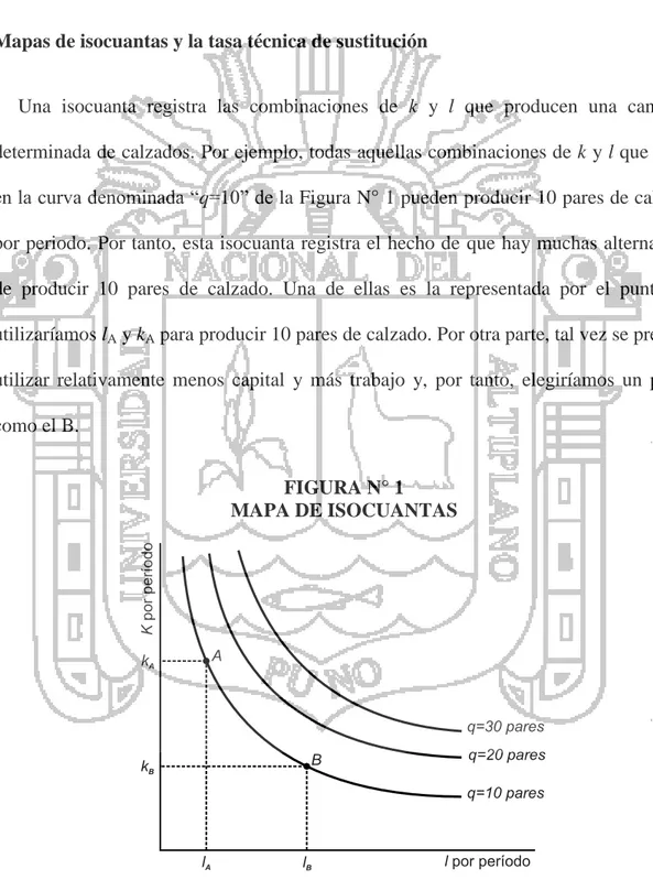 FIGURA N° 1  MAPA DE ISOCUANTAS 