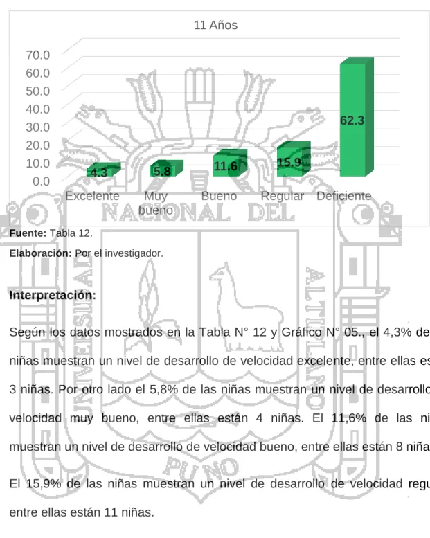 GRÁFICO N° 05 