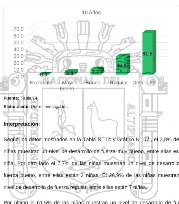 GRÁFICO N° 07 