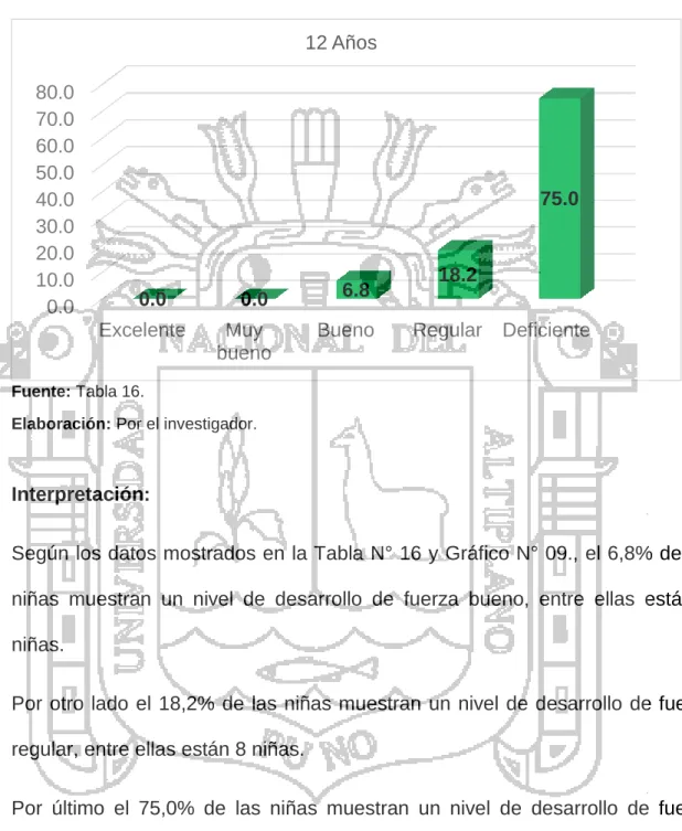 GRÁFICO N° 09 