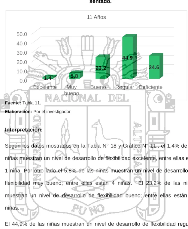 GRÁFICO N° 11 