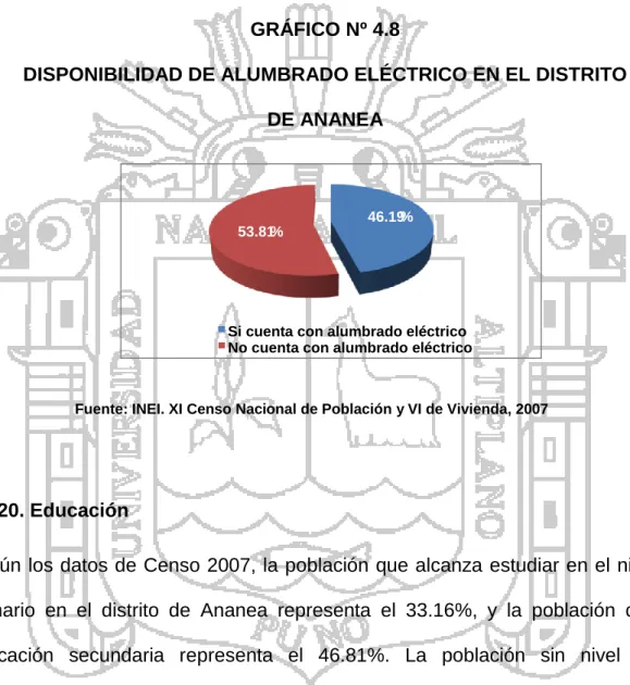 GRÁFICO Nº 4.8  