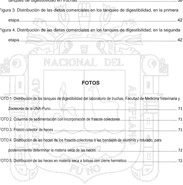 Figura 1. Tanque de digestibilidad provisto de columna de sedimentación para la colección  fecal (Rodehutscord y Pfeffer, 1999)