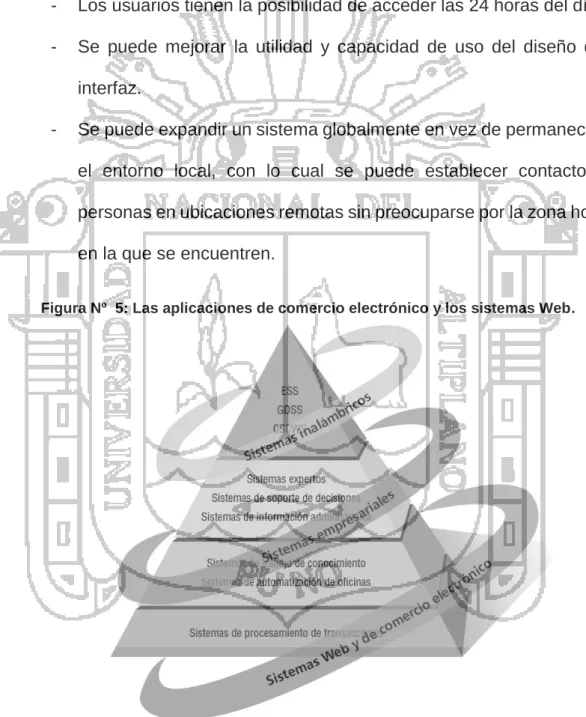 Figura Nº  5: Las aplicaciones de comercio electrónico y los sistemas Web. 