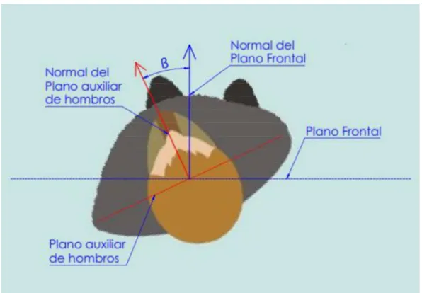 Figura 2.16  ( ), se mide entre el vector normal del plano auxiliar de  hombros y el vector normal del plano frontal