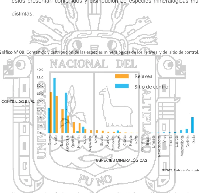 Gráfico N° 09: Contenido y distribución de las especies mineralógicas de los relaves  y del sitio de control