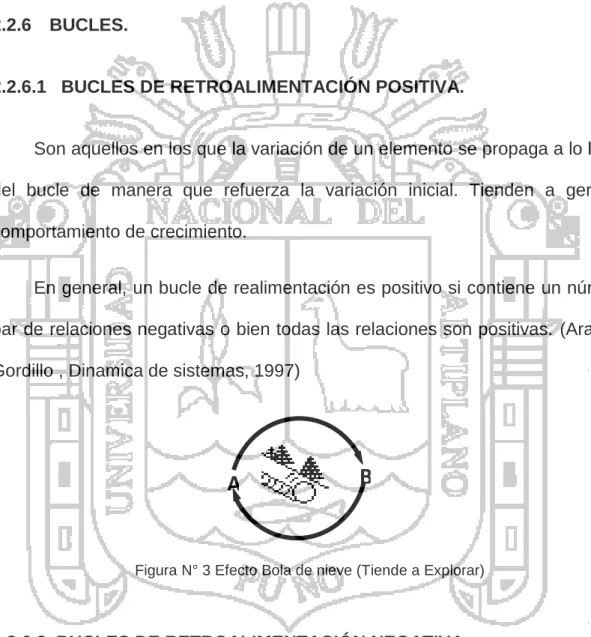 Figura N° 3 Efecto Bola de nieve (Tiende a Explorar) 