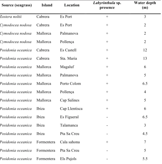 Table 1.  List of 18 sampled seagrass meadows at 15 sites in the Balearic Islands.  Source indicates  seagrass  species  from  which  Labyrinthula  spp