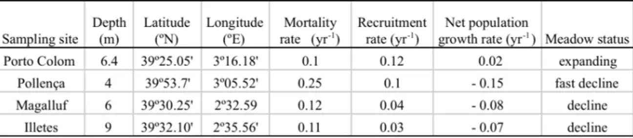 Table 1. Water depth, latitude, longitude, and shoot mortality, recruitment and net population growth rates of 