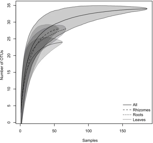 Figure 2. Species accumulation curves of the endophytic bacterial community found in P