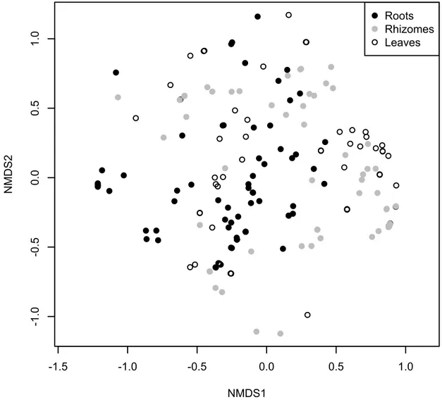 Figure  3.  Non-metric  Multidimensional  Scaling  analysis  of  endophytic  bacterial  community  of  Posidonia  oceanica tissues