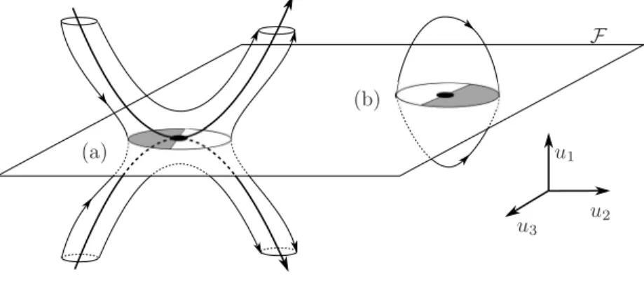 Figure 1: Representation of a 3-dimensional reduced flow surrounding a two-fold on the manifold F : (a) visible two-fold, (b) invisible two-fold