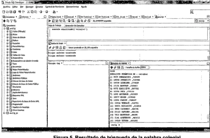 Figura 6.  Resultado de búsqueda de la palabra turismo 