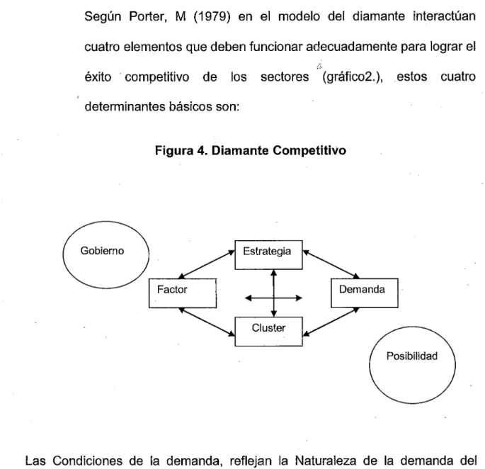 Figura 4.  Diamante Competitivo 