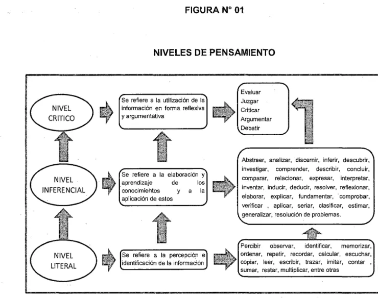 FIGURA No  01 