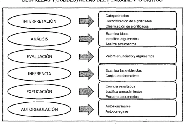 FIGURA  No  02 