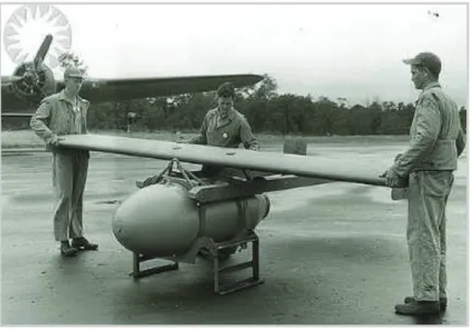 Figura 1.8 Avión bomba GB-1 Glide [4] 