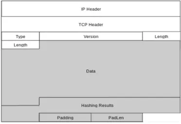 Figura 2.9: Format missatges SSL/TLS