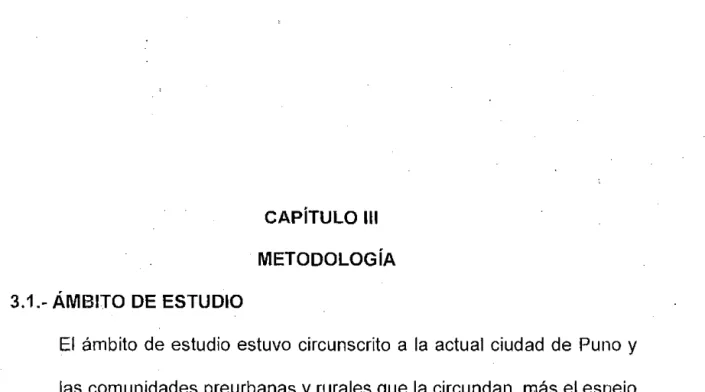 Cuadro N° 3.  Ponderación de indicadores e índices. 