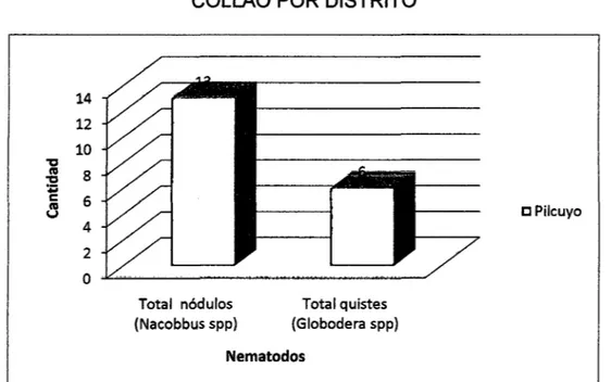 GRÁFICO 5 