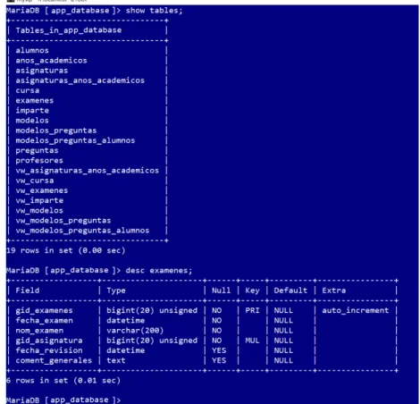 Figura 2.1: Consola de la base de datos MaríaDB