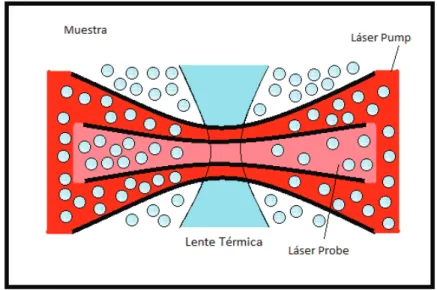 Figura 2.1: Formaci ´on de la lente t ´ermica (transversal en el centro en celeste) en una muestra (bolitas azules) donde est ´an presentes los haces de prueba (probe) en rojo y de bombeo (pump) en rosa.