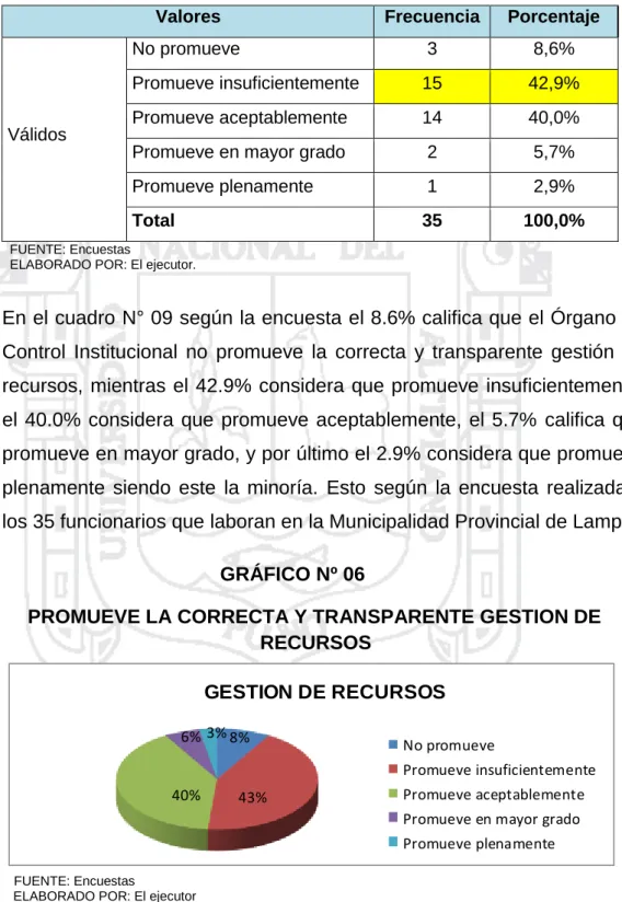 GRÁFICO Nº 06 