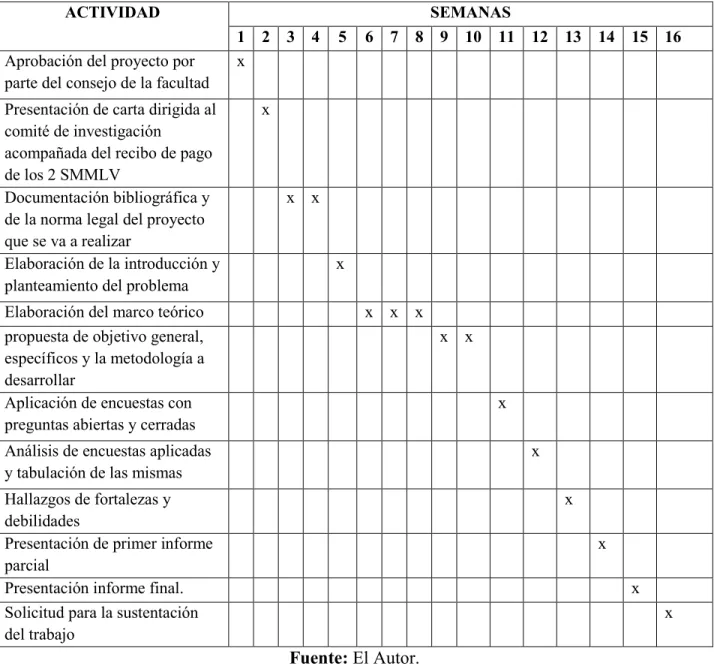 Tabla 6: Cronograma de actividades 2018. 