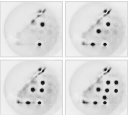 Figure 1.11: Near field of a VCSEL in which different LS have been independently written as binary pixels using a phase mask at different current values (from left to right and top to bottom, I bias = 557, 563, 565, 567 mA) [175].