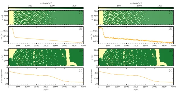 Figure 2.12: Comparison of numerical simulations with patterns in real meadows in absence of noise in the profile (left) and with noise (right)