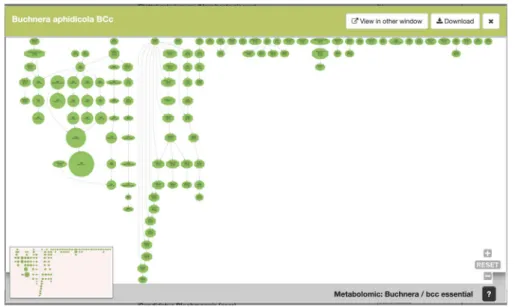 Figure 5. SymGenDB’s new MetaDAGs module’s output. In this example, we search for the symbionts of the genus ‘Buchnera’