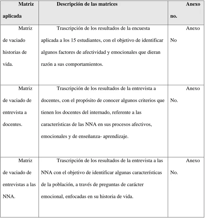 Tabla 7 Descripción de las matrices. Primiciero, L (2019). 