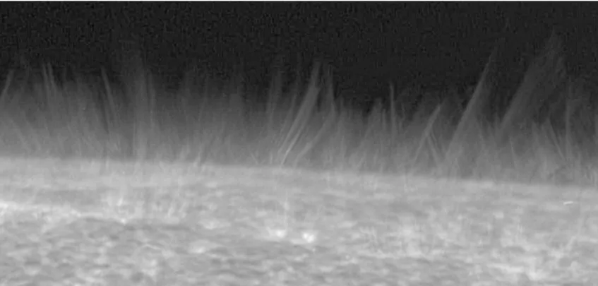 Figure 3: Off-limb spicules viewed in a high-resolution image observed by the Solar Optical Telescope (SOT) [16].